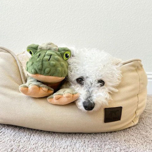 Animated Plush Frog Toy for Dogs - Tall Tails Moving Dog Toy