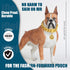 Gold Dog Chain Collar 19mm Cuban Link with Snap Buckle, 18K Gold Plated Stainless Steel for Puppy Small Medium Large