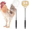 2PCS Chicken Pecking Toys Swinging Slow Feeder Treat Dispenser for Chickens, Ducks,
