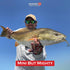 1/8 oz, 2.5" 4 Count Shrimplets | TPE Pre-Rigged with UV Glow | Small Shrimp for Under a Popping Cork | Redfish, Snook