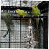 WOONEKY Safe Biting Bird Toy for Parrots - Bright Teether Plaything
