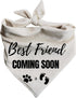 Generic Best Friend Coming Soon Dog Bandana Pregnancy Announcement Creamy Oatmeal (Medium)
