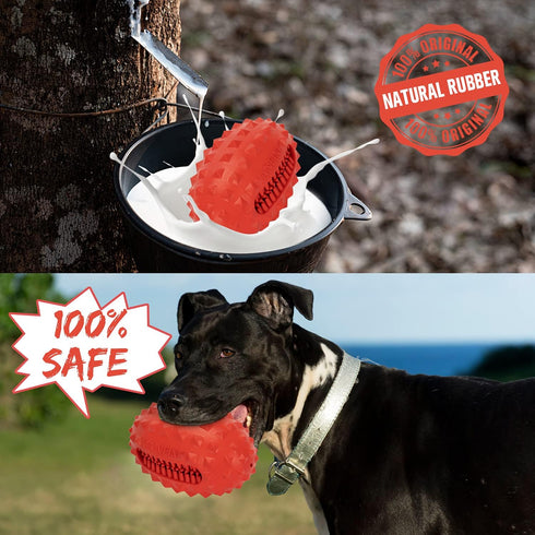 VANFINE Dog Toy, Squeaky Indestructible Tough Stick Chew Toy for Large Dogs, Non-Toxic Natural Rubber (Medium/Large Dog)