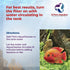 DrTim’s Aquatics AquaCleanse - 32 oz. Tap Water Detoxifier for Freshwater Aquariums - Dechlorinator & Ammonia Remover