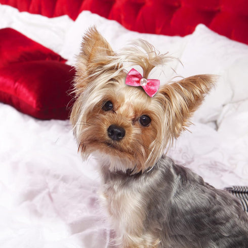 40 Pieces Dog Bows, Cute Puppy Dog Bowknot Hair Bows, Handmade Hair Accessories with Rubber Bands, Multicolor Grooming