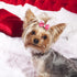 40 Pieces Dog Bows, Cute Puppy Dog Bowknot Hair Bows, Handmade Hair Accessories with Rubber Bands, Multicolor Grooming