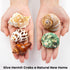 5PCS Hermit Crab Shells, Natural Sea Conch Size 2.1" - 2.8" for Hermit Crab Supplies and Beach Decoration
