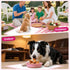 Gabotrie 40 Pack 24" 24" Puppy Pet Training Pad, Pink Puppy Pee Training Pad, X Housebreaking Pet Pads Disposable, Dog