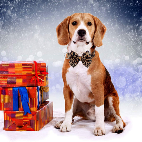 Dog Collar with Bow, Adjustable Cotton & Webbing Detachable Bowtie Dog Collars and Leash for Small Medium Large Dogs