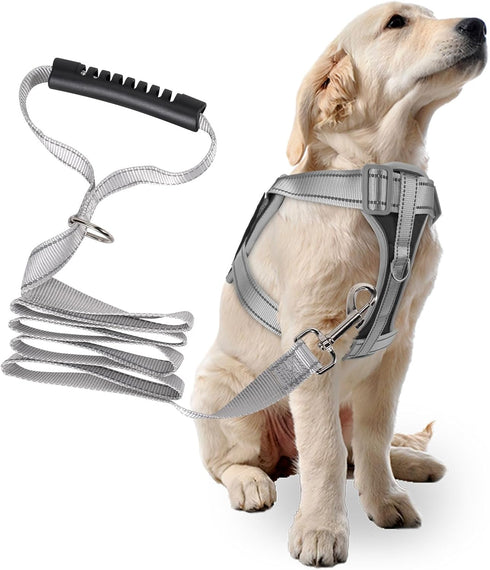 Heavy Duty No-Pull Dog Harness and Leash Set for Large Dogs, Reflective Adjustable Training Vest (Black, Size L)