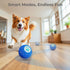Lovkid Smart Interactive Dog Toys Vibrating & Rolling Chew-Resistant E-TPU Dog Ball for Aggressive Chewers, USB-C