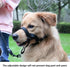 Dog Head Collar, Fabric Padded to Prevent Pulling, Head Leash for Small, Medium, Large Dogs Walking (L, Lake Blue)