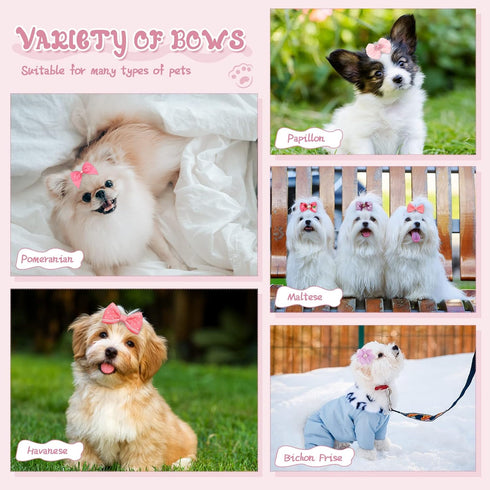 20 Pcs Dog Hair Bows for Small Dogs, Cute Grooming Bows with Rubber Bands