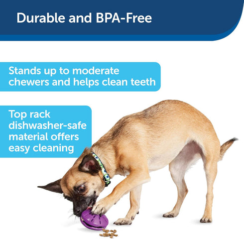 PetSafe Busy Buddy Twist 'n Treat Dog Toy for Medium and Large Breeds, Purple