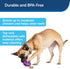 PetSafe Busy Buddy Twist 'n Treat Dog Toy for Medium and Large Breeds, Purple