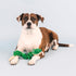 Fringe Studio Plush Dog Toy, Hisses & Kisses, Pet Shop Collection (314206)