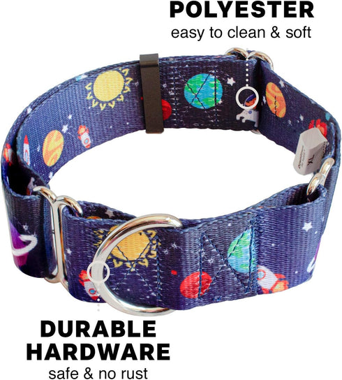Downtown Pet Supply Martingale Collar for Dogs, Big Wide Thick Dog Training Collar, Escape-Proof, Space, Large