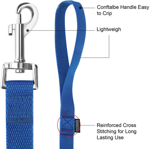 AMAGOOD 6 FT Puppy/Dog Leashes, Strong Traditional Style with Easy Collar Hook (Blue, 5/8" x 6 Feet)