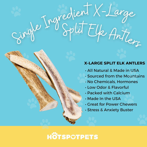 hotspot pets Split Elk Antlers for Dogs X-Large 8+ Inches- Premium Elk Antlers for Dogs 50+Lbs (2 Pack) Naturally Shed