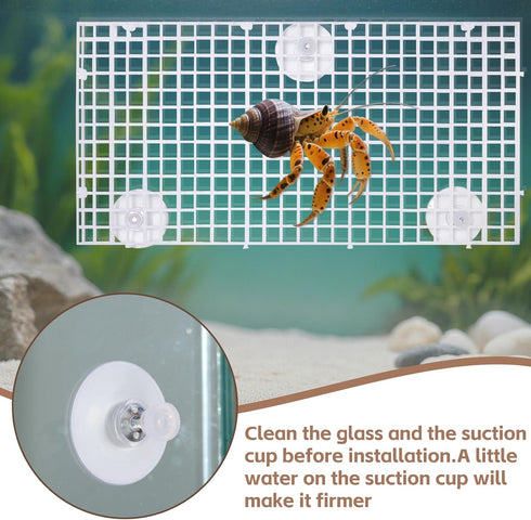 Hermit Crab Climbing Ladder & Wall Decor for Aquariums