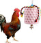 Oooct Large Chicken Chewing Toy, Chick Beak Grinding Calcium Stone with Bells, Chicken