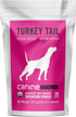 Immunity 100 3.5 oz Om Mushroom Matrix Pet - Canine | Turkey Tail | USA Grown Human-Grade Organic Mushroom Powder Pet