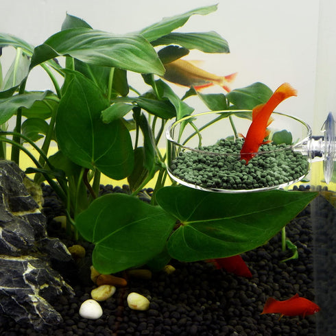 WEAVERBIRD 60mm Aquarium Shrimp Feeder Dish - Suction Glass Fish Tank Feeding Bowls, Round Clear Dishes