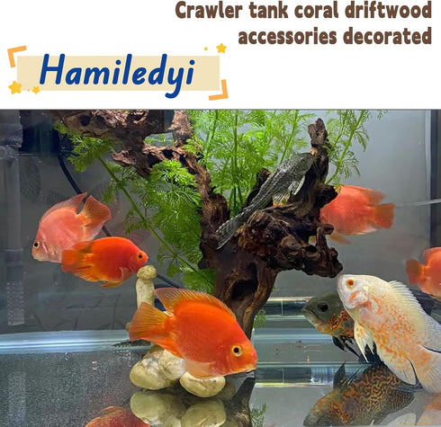Hamiledyi Natural Trunk Driftwood Assorted Branches 8-12" for Fish Tank Decoration, 3 Pcs