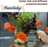 Hamiledyi Natural Trunk Driftwood Assorted Branches 8-12" for Fish Tank Decoration, 3 Pcs