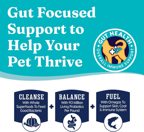 Solid Gold Indoor Cat Food - Real Lamb, Brown Rice & Pearled Barley for Healthy Digestion & Immune Support