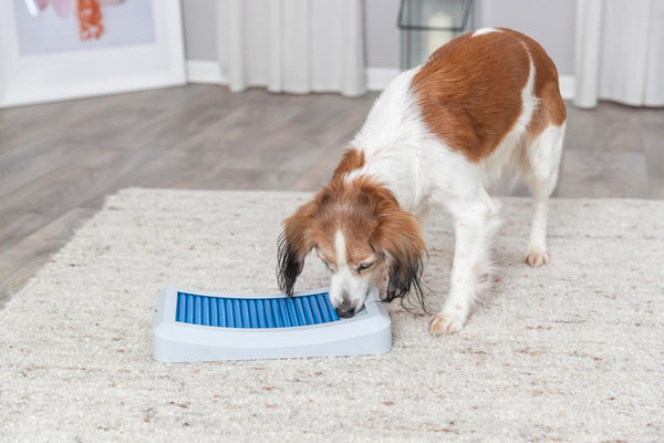 TRIXIE Rod Board Level 1 Strategy Game - Beginner Dog Puzzle Toy for Enrichment & Interactive Play