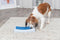 TRIXIE Rod Board Level 1 Strategy Game - Beginner Dog Puzzle Toy for Enrichment & Interactive Play