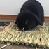 Rabbits,11.0"x8.3" Toy(4 PINVNBY Straw Mats for Natural Bunny Grass Mat,Handwoven Rabbit Hay Mat Small Animal Bedding