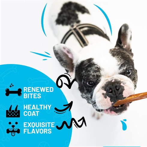 Sitka Farms Bully Sticks 6 inch - 20 Count - All Natural Dog Treats from Free Range Grass-Fed Beef