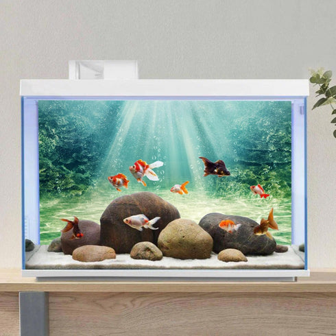 AWERT 36x18 inches Aquarium Background - Aquatic Plant Bubble Underwater Ocean Floor Fish Tank