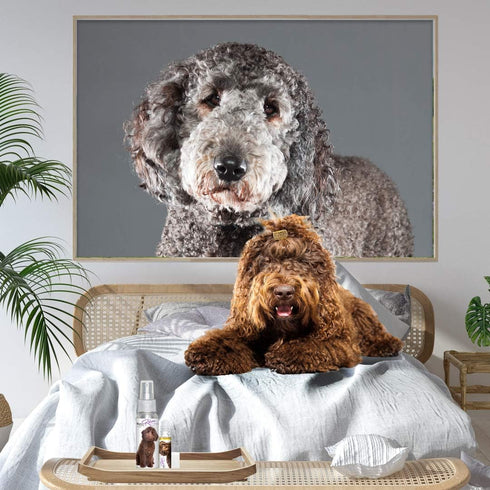The Blissful Dog Labradoodle Relax Aromatherapy Spray for Your Dog's Anxiety