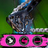 Muc-Off Claw Brush - Bike Cleaning Brush with Three Heads, Durable Nylon Bristles for Chains, Cassettes