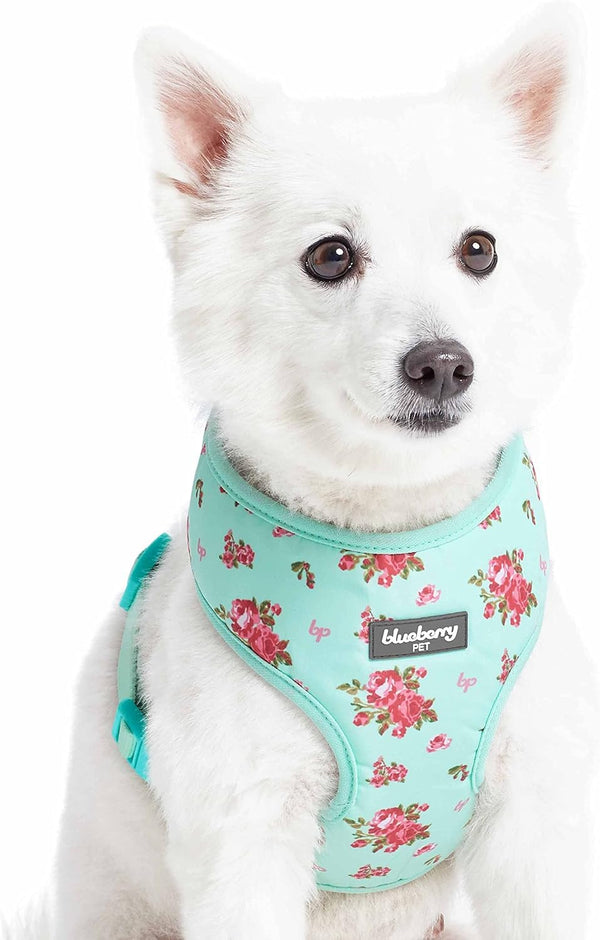 Blueberry Pet Floral Dog Vest Harness, Turquoise, X-Small, Lightweight & Comfy Fit for Small Breeds, No Pull Design