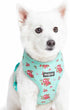 Blueberry Pet Floral Dog Vest Harness, Turquoise, X-Small, Lightweight & Comfy Fit for Small Breeds, No Pull Design