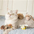Gigwi Interactive Cat Toys, Animal Sound Bird/Mouse/Bee Interactive Squeaking Toys for Cats