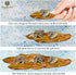 SunGrow 10 Pack Large Hermit Crab Catappa Indian Almond Leaves, 7-9 inches Long