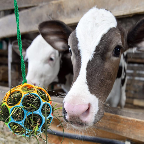 Besimple 2 Pack Horse Treat Ball Hay Feeder Toy, Goat Feeder Ball Hanging Feeding Toy for Horse Goat Sheep Relieve