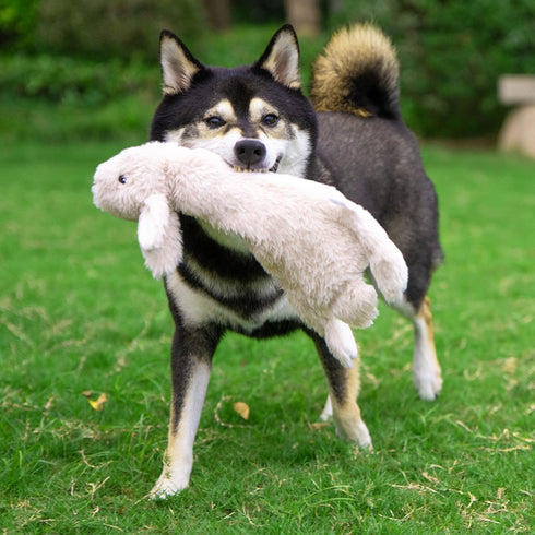 Best Pet Supplies 2-in-1 Stuffless Squeaky Dog Toys, Soft Durable Fabric for Small, Medium, Large Pets, Hare