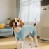KYEESE Dog Pajamas Stretchable 4 Legs Striped Jumpsuit, Lightweight Onesie, Cozy Outfit for Dogs, Green Striped, Medium