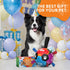 (8 Inch) QDAN Dog Toys for Large Dogs, Durable Dog Balls for Aggressive Chewers, Indestructible Outdoor Herding Ball