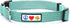 Pawtitas Reflective Dog Collar - Adjustable for Small Dogs, Puppy Collar - Teal