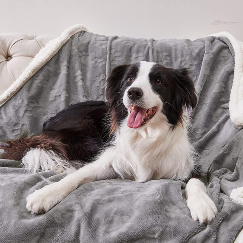 Qeils Dog Blankets for Large Dogs, Waterproof Cat Blanket, Washable Sherpa Fleece Puppy Blanket, Soft Plush Reversible