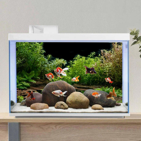 AWERT 72x18 inches Aquarium Background - River Bed & Lake Aquatic Plant Fish Tank Background