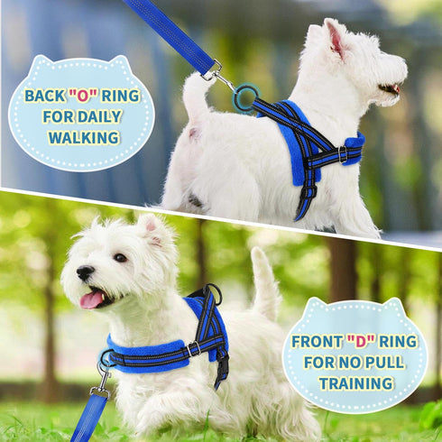 Lukovee No Pull Dog Harness and Leash Set, Soft Padded Adjustable Reflective Vest for Small Dogs (S, Blue)