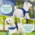 Lukovee No Pull Dog Harness and Leash Set, Soft Padded Adjustable Reflective Vest for Small Dogs (S, Blue)